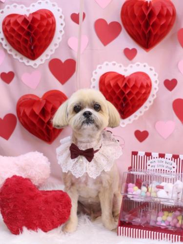 20240217ラルクくん